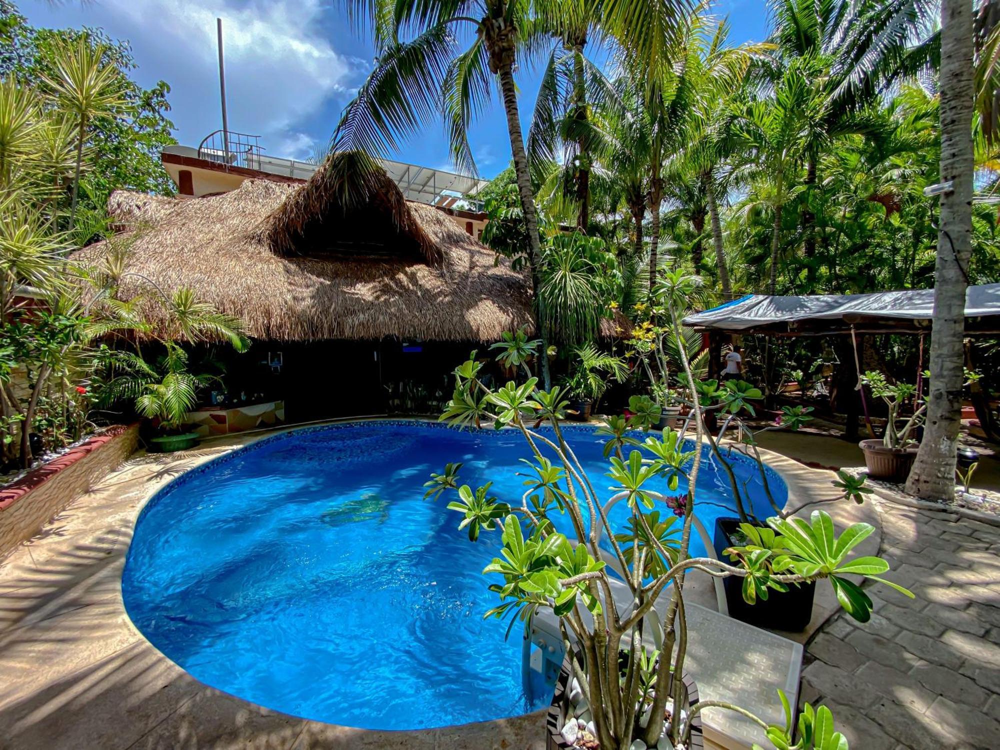 Cocos Cabanas Playa Del Carmen Adults Only Eksteriør billede
