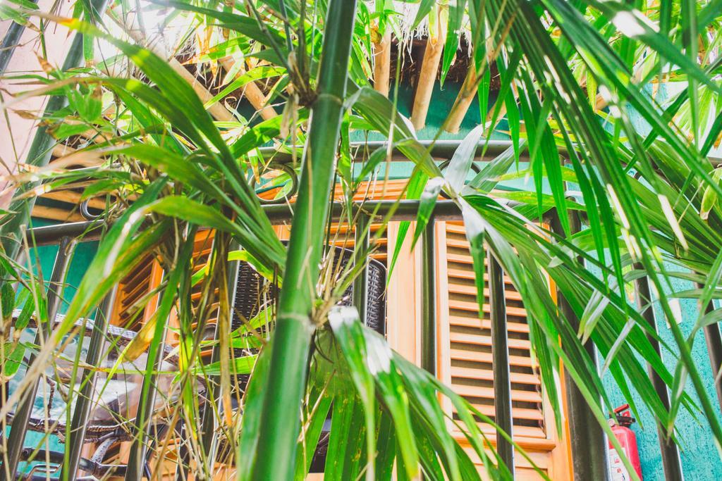 Cocos Cabanas Playa Del Carmen Adults Only Eksteriør billede