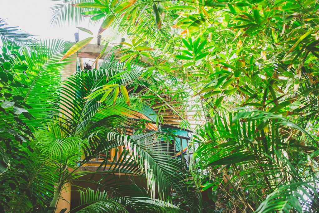 Cocos Cabanas Playa Del Carmen Adults Only Eksteriør billede