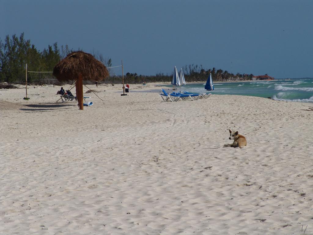 Cocos Cabanas Playa Del Carmen Adults Only Eksteriør billede