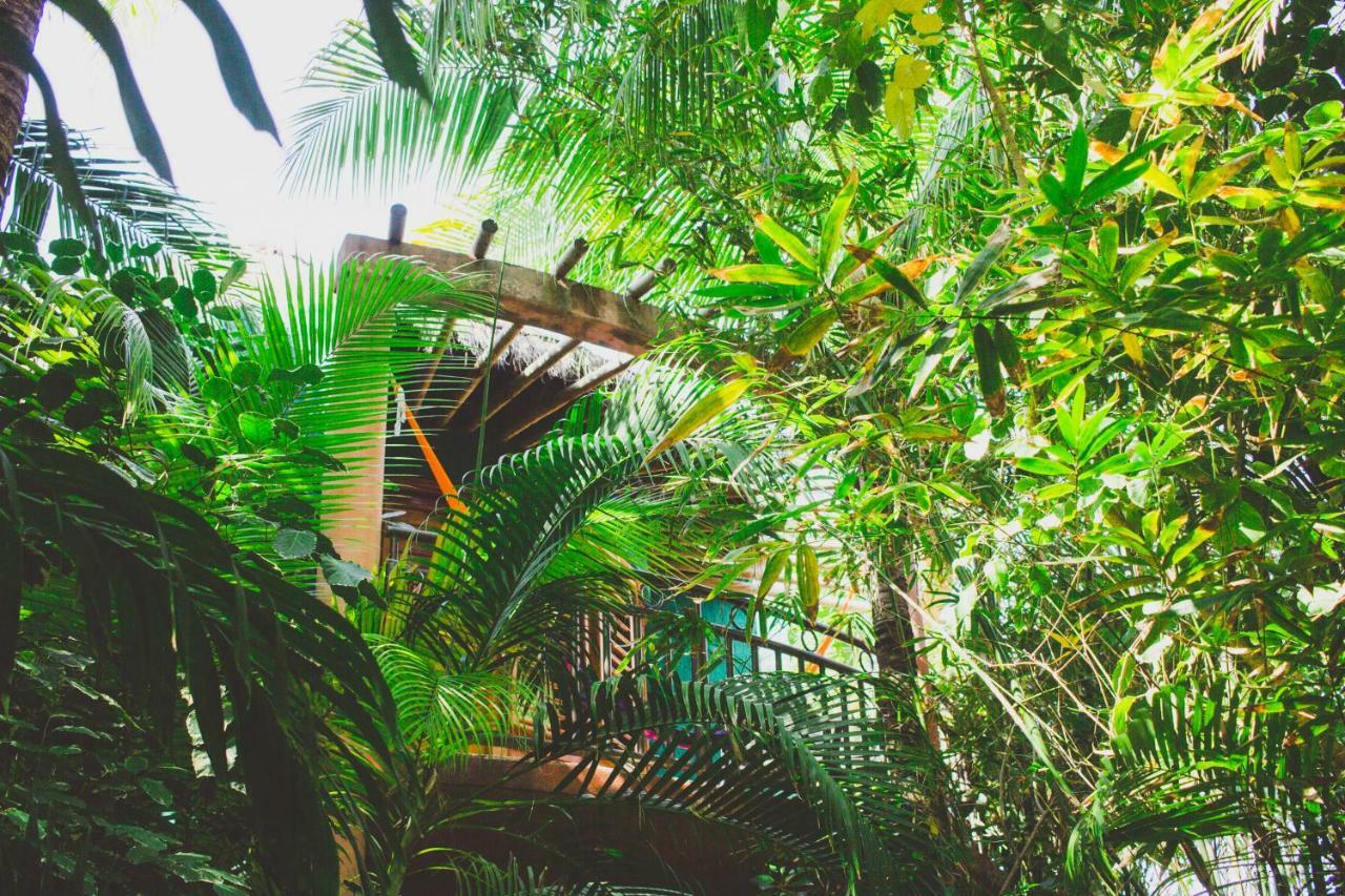 Cocos Cabanas Playa Del Carmen Adults Only Eksteriør billede